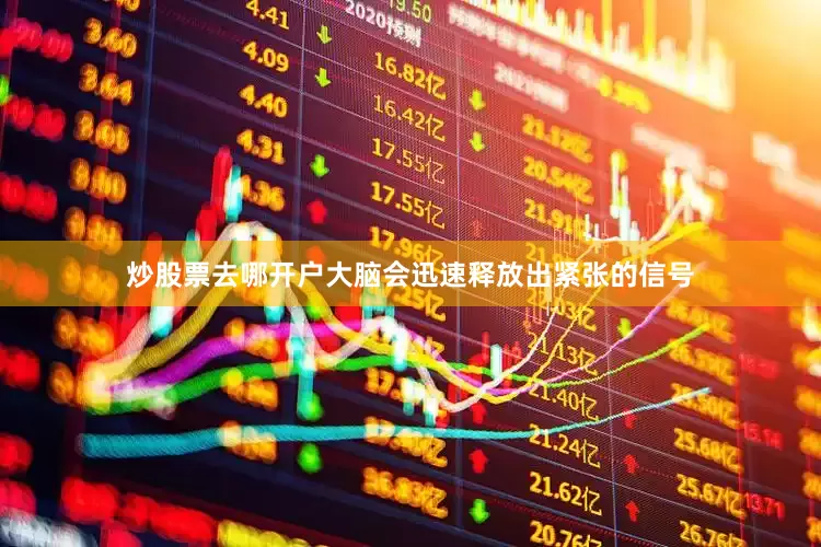 炒股票去哪开户大脑会迅速释放出紧张的信号