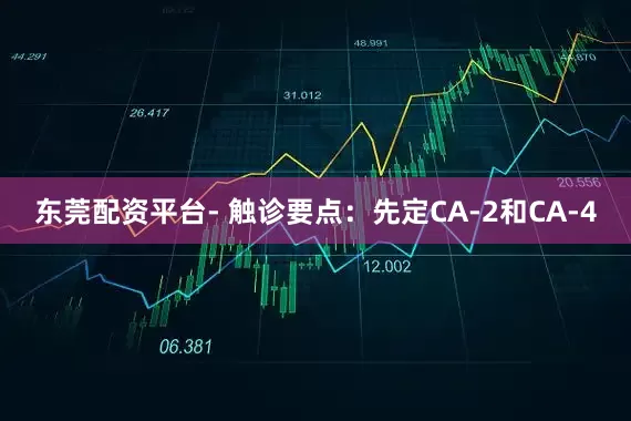东莞配资平台- 触诊要点：先定CA-2和CA-4