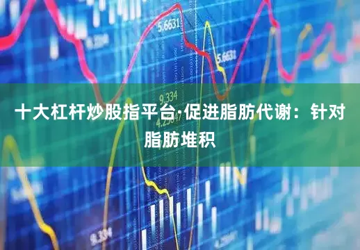 十大杠杆炒股指平台·促进脂肪代谢：针对脂肪堆积