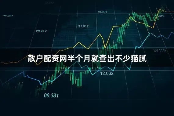 散户配资网半个月就查出不少猫腻